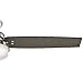 Hunter Sentinel Indoor Ceiling Fan with LED Light and Remote Control, 60