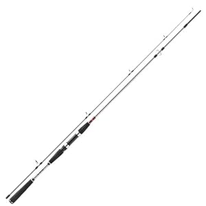 Daiwa Seahunter X Pilk, 2 Pièces, Canne à Pêche Pilk, Canne Mer