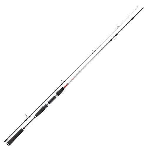 Daiwa Seahunter X Pilk, 2 Pièces, Canne à Pêche Pilk, Canne Mer