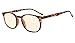 Eyekepper Blue Light Blocking Reading Glasses for Men Women Vintage Readers,Tortoise