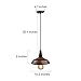LNC Pendant Lighting for Kitchen Island Farmhouse Bran Hanging Fixtures with Rustic Finish Fit in Bedroom, Foyer, Hallway, 10.2”W*7”H, A0190702, Brown