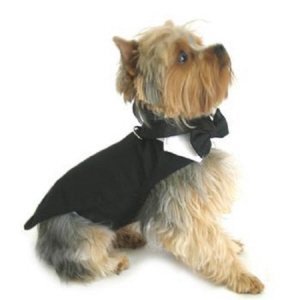 Black Dog Harness Tuxedo w/Tails Bow Tie Cotton Collar