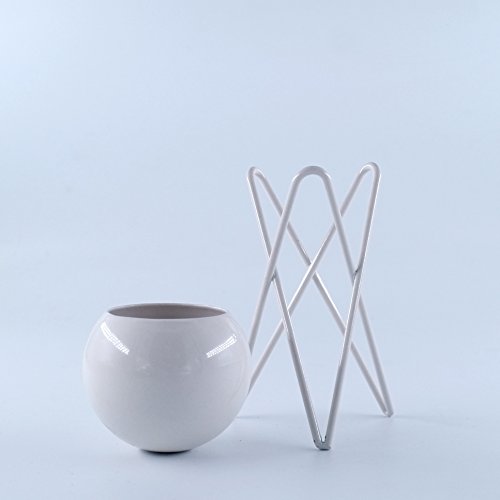 Pack of 2 Tabletop Standing Air Plant Holder Air Plant Stand Air Plant Container Xerographica Air Plant Holder Air Plant Support Tillandsia Air Plant Stand (White)