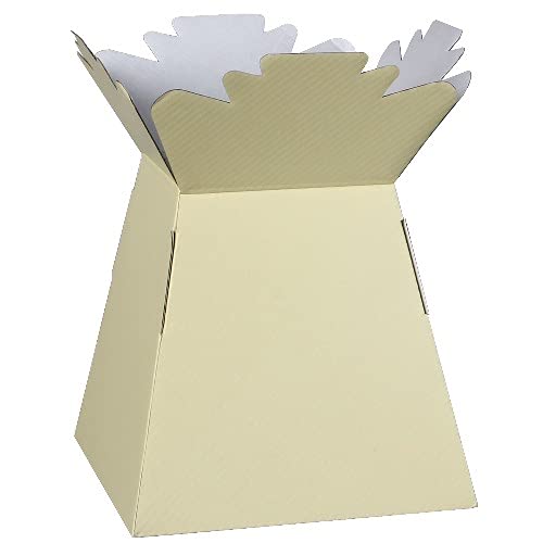 Inerra Florist Boxes - Pack of 2 - Living Vase for Flowers, Hand Tied Bouquet Box Making (Cream)