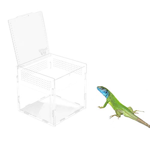 image for Baosity Reptile Acrylic Cage Breeding Habitat Lizard Snake Amphibian F