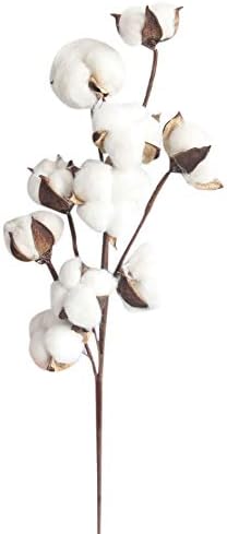 LILICAT 1Pack/3Packs 21 inch Naturally Dried Cotton Stems Farmhouse Style Artificial Flower Filler Floral Decor Home Decor (1Pack)