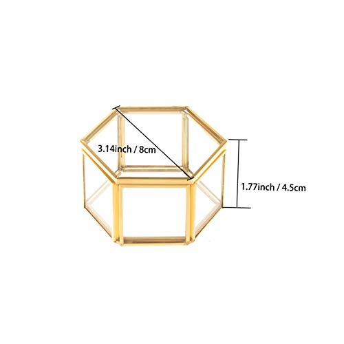 Feyarl Jewelry Trinket Glass Box Ornate Ring Earring Box Preserved Flower Glass Box Organizer Decorative Box Storage (Gold)
