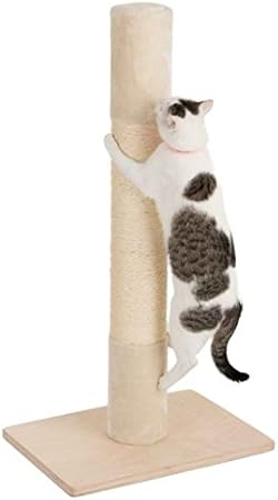 wellness core canned cat food