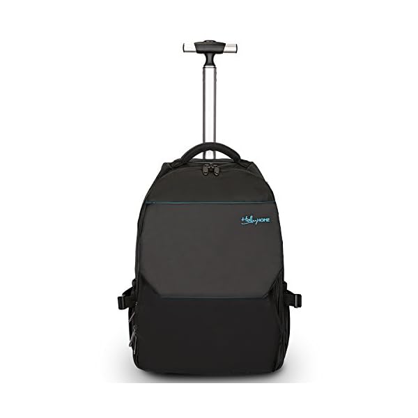 hollyhome backpack