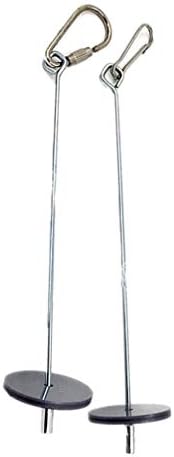 DeliV Stainless Steel Bird Toy Parrot Birds Hang Cage Stainless Steel Feeding Fork Stand Pets Birds Spear Tool,1#
