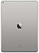 Apple iPad Pro Tablet (256GB, Wi-Fi, 9.7in) Gray (Renewed)