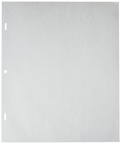 Canson Artist Series Acme Punched Translucent Animation Paper, 12 Frame, 20 Pound, 10.5 x 12.5 Inch, - //medicalbooks.filipinodoctors.org