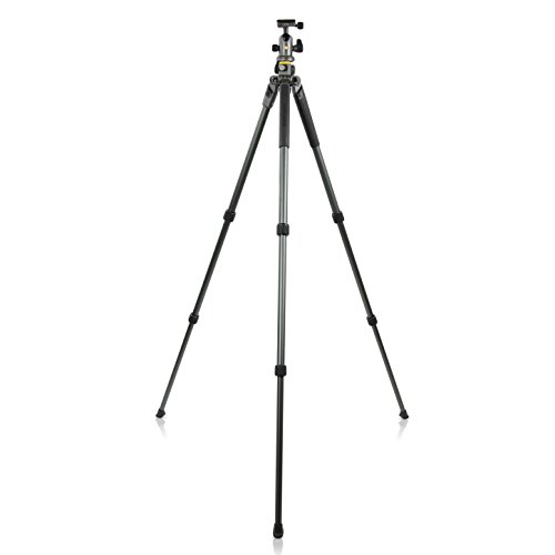 Vanguard Alta Pro 2+ 263AB 100 Aluminum Tripod with Alta BH-100 Ball Head and Multi-Angle Center Column