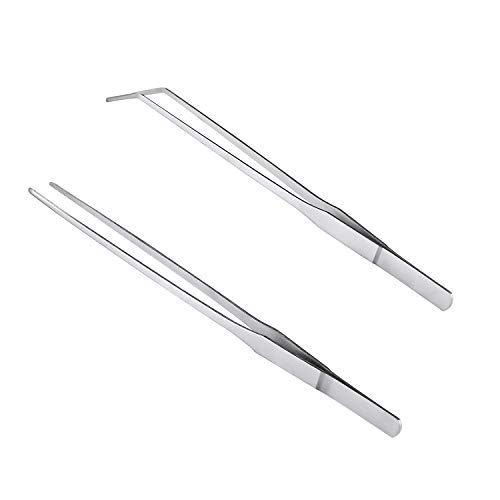 How to buy the best feeding tweezers?