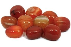 GEOFOSSILS Carnelian Tumble Stone (Brazilian) (20-25mm) - Pack of 5 Stones