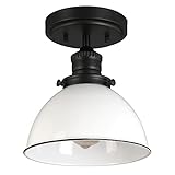 Design House 588319 Savannah Farmhouse 1-Light