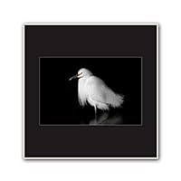 Framed Canvas Wall Art A Bird Standing on Canvas Prints Home Artwork Decoration for Living Room,Bedroom - 16x16 inches