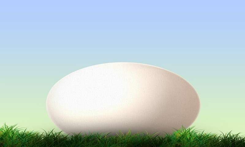 Eggless Chocolate Cake With Flaxseed - //medicalbooks.filipinodoctors.org