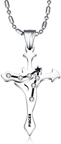 Topda123- Zodiac Romantic Metal Elegant 316L Stainless Steel Chain Zodiac Symbol Pendant Necklace for Men and Women with Nice Gift Box and Bag (Pisces)