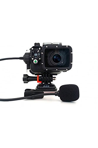 AEE Technology T45 Professional Extended Microphone for AEE Action Camera & Waterproof Housing (Black)