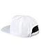 NIKE Unisex Pro Cap Swoosh Classic Hat, White/Pine Green/Black/Black, Misc, One size
