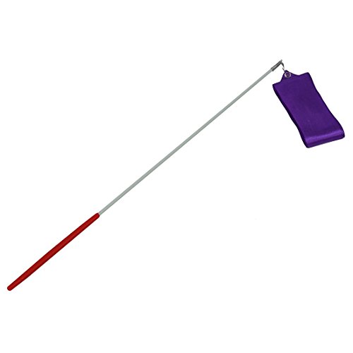 TOOGOO(R) 4M Dance Ribbon Gym Rhythmic Art Gymnastic Ballet Streamer Twirling Rod Purple