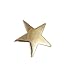 WizardPins Gold Star Lapel Pin- 1 Piece