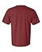 Comfort Colors 1717 Pigment-Dyed Short Sleeve Shirt (Brick, X-Large)