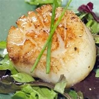 Today Gourmet Foods Of Nc Scallops U10 Dry 5lb Pkg Amazon Com Grocery Gourmet Food Today Gourmet Foods Of Nc Scallops U10 Dry 5lb Pkg Amazon Com Grocery Gourmet Food