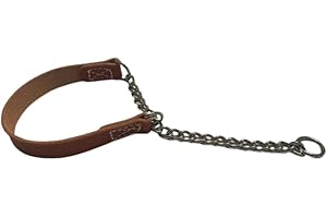 Joel Silverman - Alternative Training Collar - Gentle No-Pull Dog Collar - Leather & Chain Combo for Humane, Low-Neck Control - Trainer-Trusted Leather Dog Collar for All Breeds (Large)