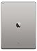 Apple iPad Pro (32GB, Wi-Fi + Cellular, Gray) 9.7in Tablet (Renewed)