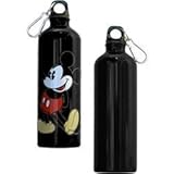 Disney 1928 Original Mickey Mouse Aluminium Water Bottle