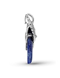 American West Plata de ley 925 azul Sodalite pájaros espíritus Enhancer   Earth Spirit Collection