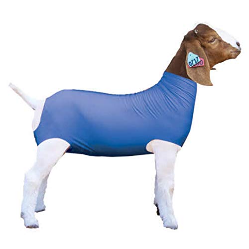 Top 10 Show Goat Supplies of 2020 No Place Called Home