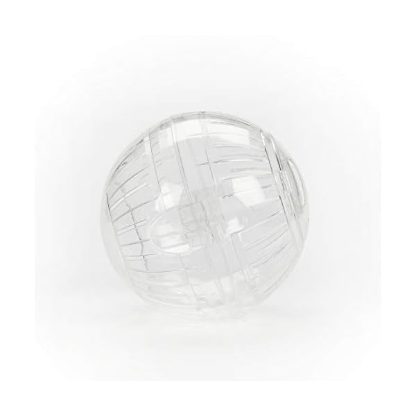 Kaytee-Transparent-Hamster-Ball-Premium-178-cm Kaytee Transparent Hamster Ball Premium, 17.8 cm
