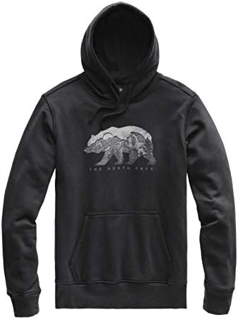 the north face men's bearscape pullover hoodie
