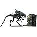 McFarlane - Movie Maniacs 6 - Aliens - Alien Queen Deluxe Boxed Set - Feature Film Figures