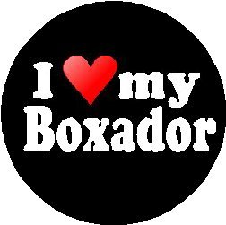 I Love My Boxador 1.25