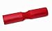 Squat Sponge Red 18