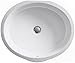 KOHLER K-2881-0 Verticyl Oval Undercounter Bathroom Sink, White