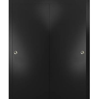 Sliding Closet Bypass Doors 48 X 80 With Hardware Planum 0020