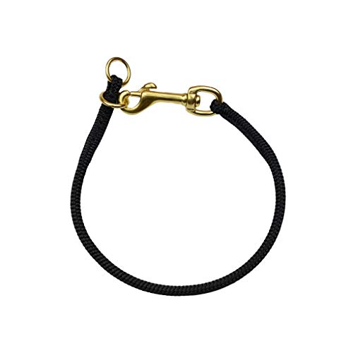 The Best Dominant Dog Collars Dogtime