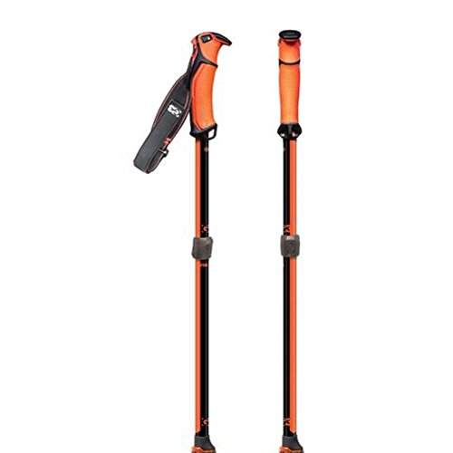 G3 - Via Ski Poles