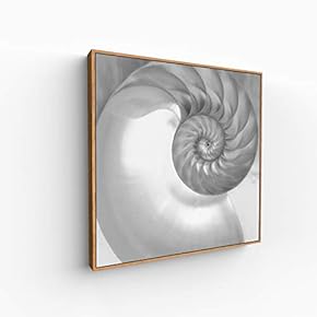 Canvas Wall Art for Living Room, Bedroom Portrait Framed Canvas Prints for Home Decoration Ready to Hang - 16x16 inches