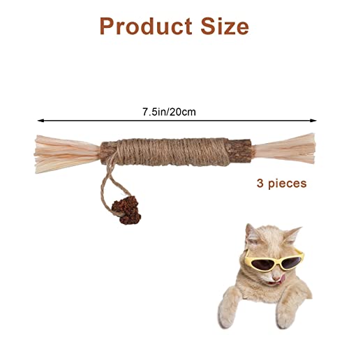 Catnip Toys,3 Pack Silvervine for Cats,Kitten Teething Toys for Aggressive chewers Interactive Kitty Toys Suitable for All Ages, Breeds
