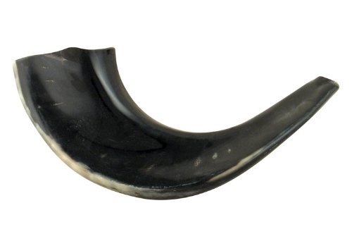 11"-12" Kosher Black Rams Horn Polished Shofar by Peer Hastam - Made in Israel