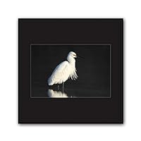 Framed Canvas Wall Art A Bird Standing on Canvas Prints Home Artwork Decoration for Living Room,Bedroom - 16x16 inches