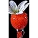 Water Pearls Gel Beads- Wedding & Event Centerpieces-Makes 6 Gallons, 8 Oz Pack Red