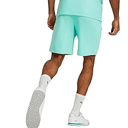 PUMA Men's Standard Mercedes AMG Petronas