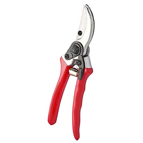 UPZHIJI Pruning Shears, Professional Tree Trimmers Secateurs,Hand Pruner, Garden Shears,Clippers for The Garden.